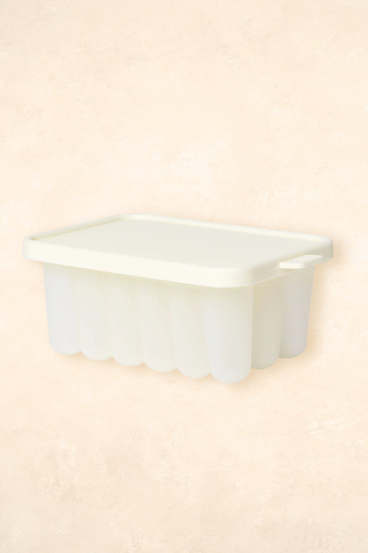 Baby Food Freezer Tray Dummies + Teethers BIBS 