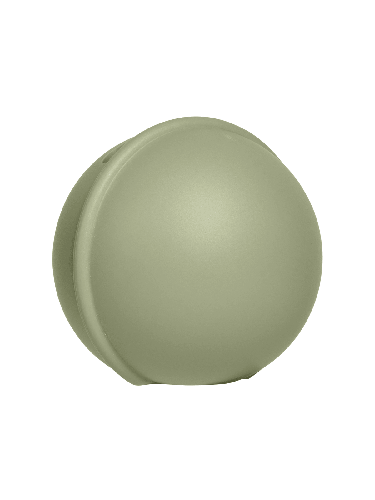 Pacifier Mini Case - Sage Dummies + Teethers BIBS 