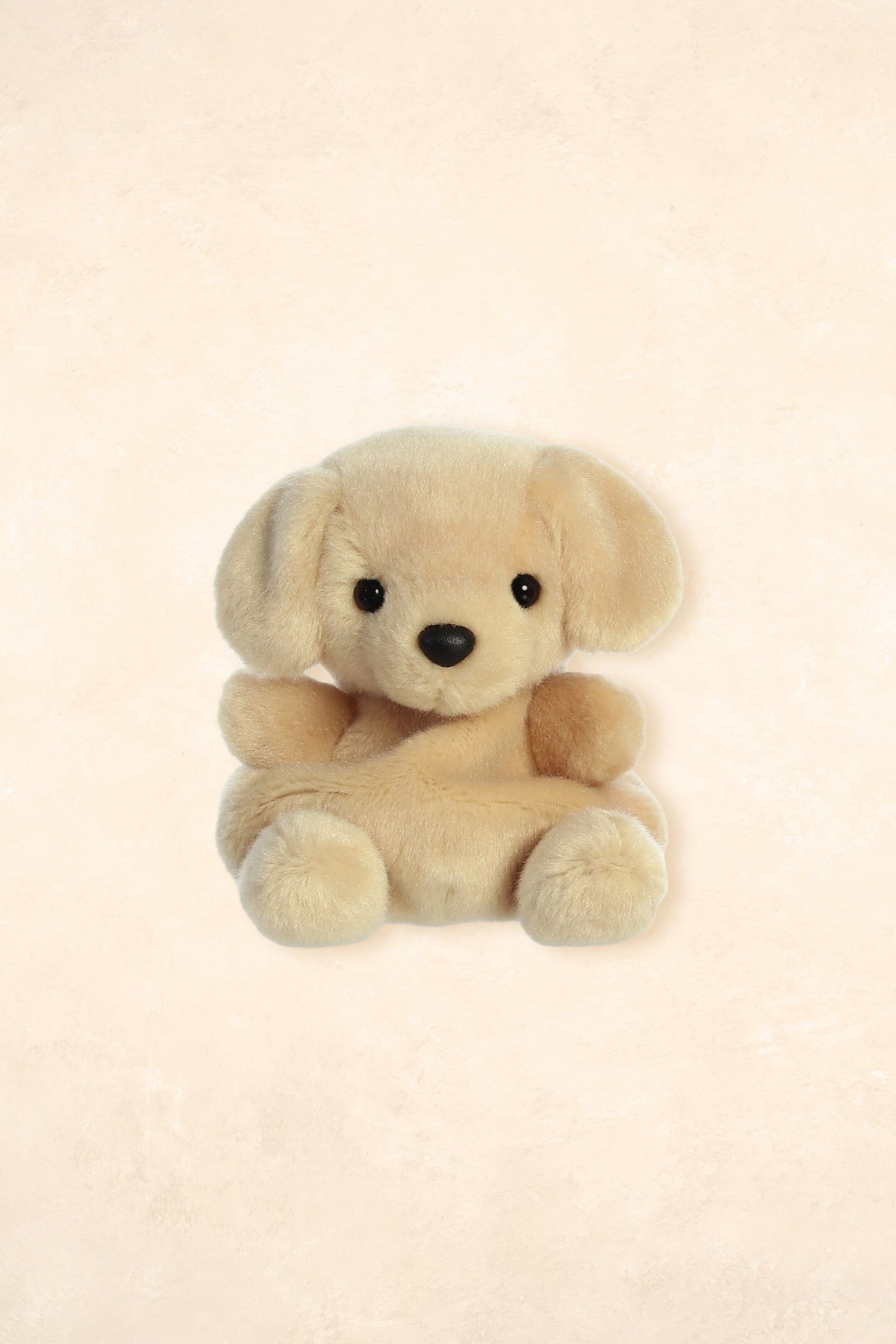 Palm Pals Toys Palm Pals Sunny Lab 