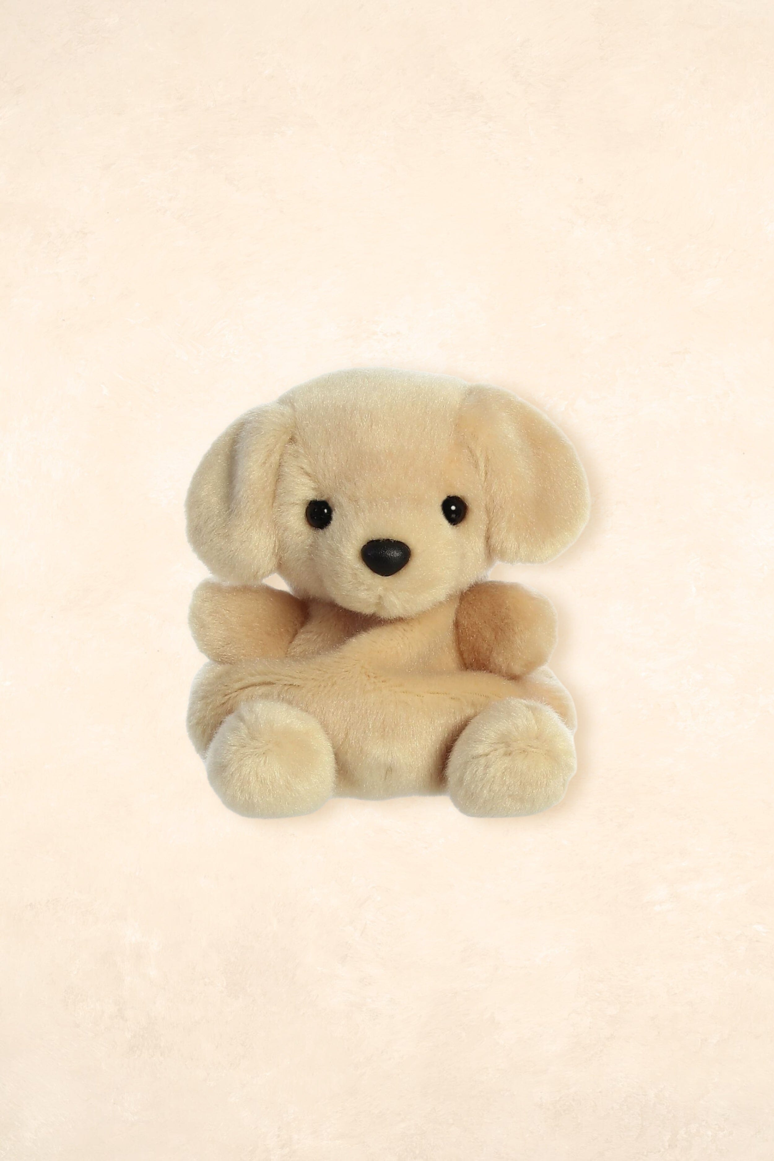 Palm Pals Toys Palm Pals Sunny Lab 