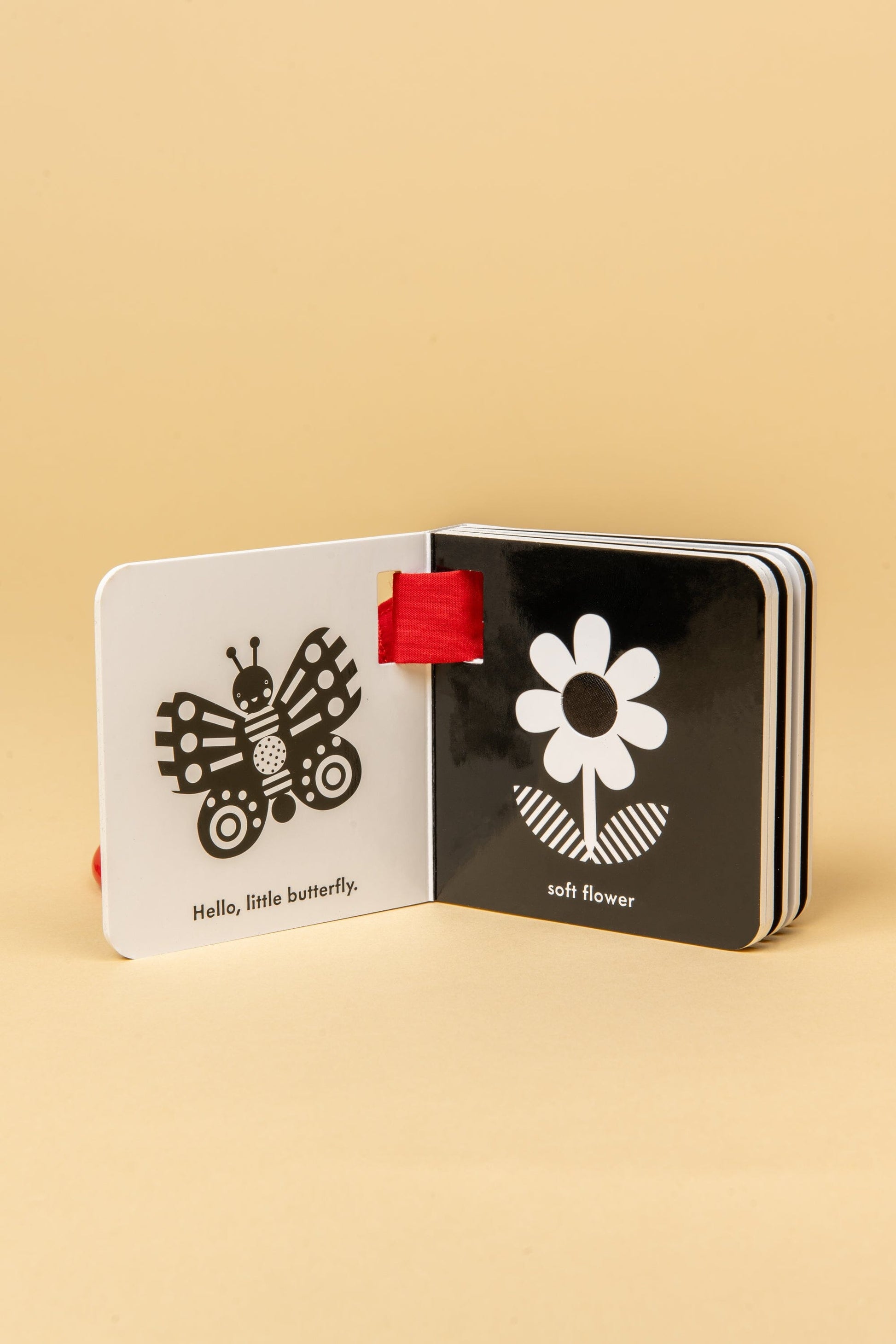 A Black & White Buggy Book book Baby Touch 