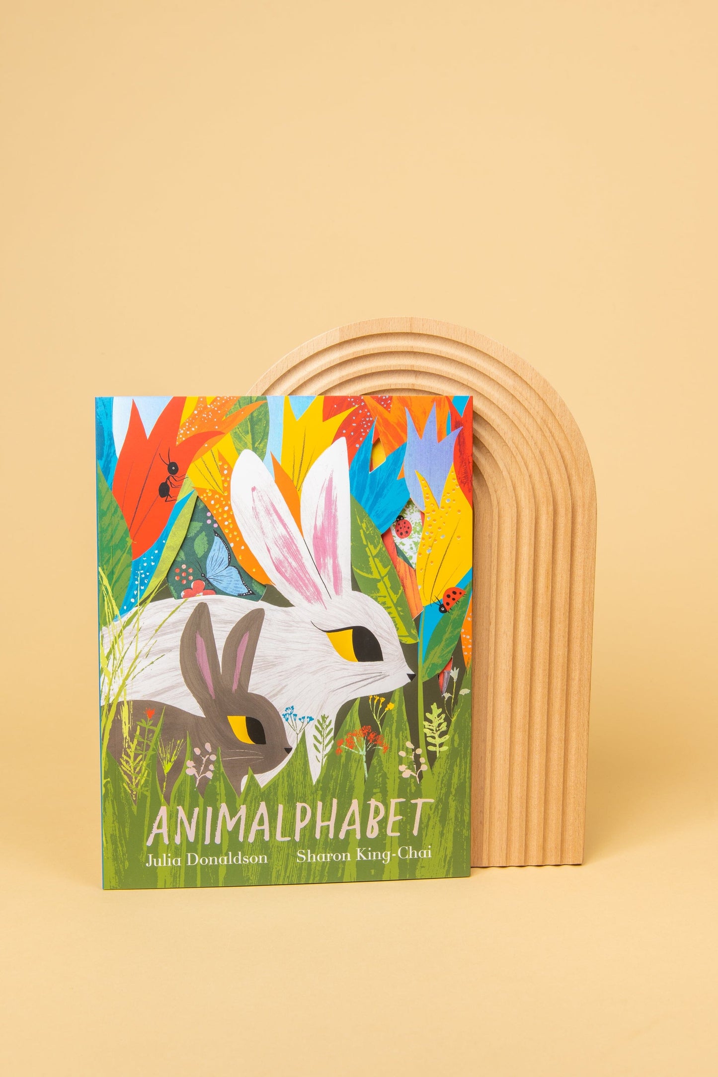 Animalphabet Book Book Books 