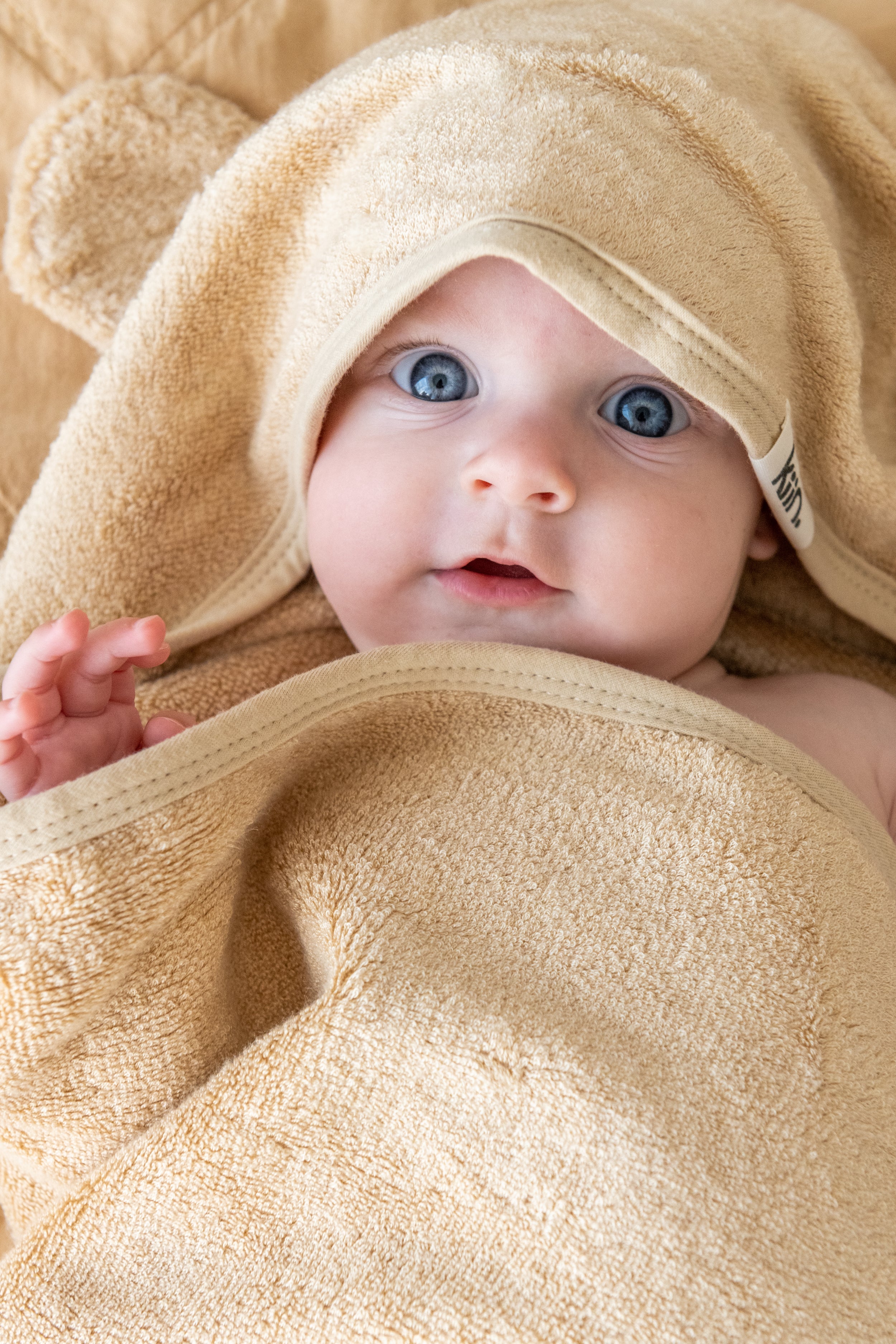 Hooded Towels Cloths + Towels Kiin Baby 