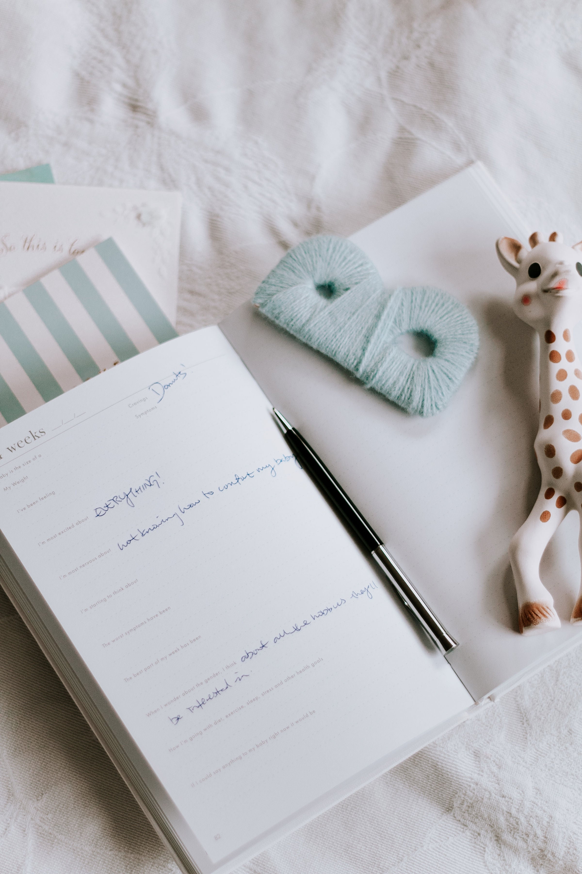 Made With Love - Pregnancy Journal journal Forget Me Not 