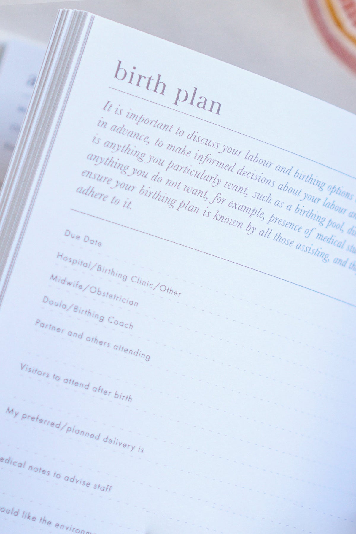 Made With Love - Pregnancy Journal journal Forget Me Not 