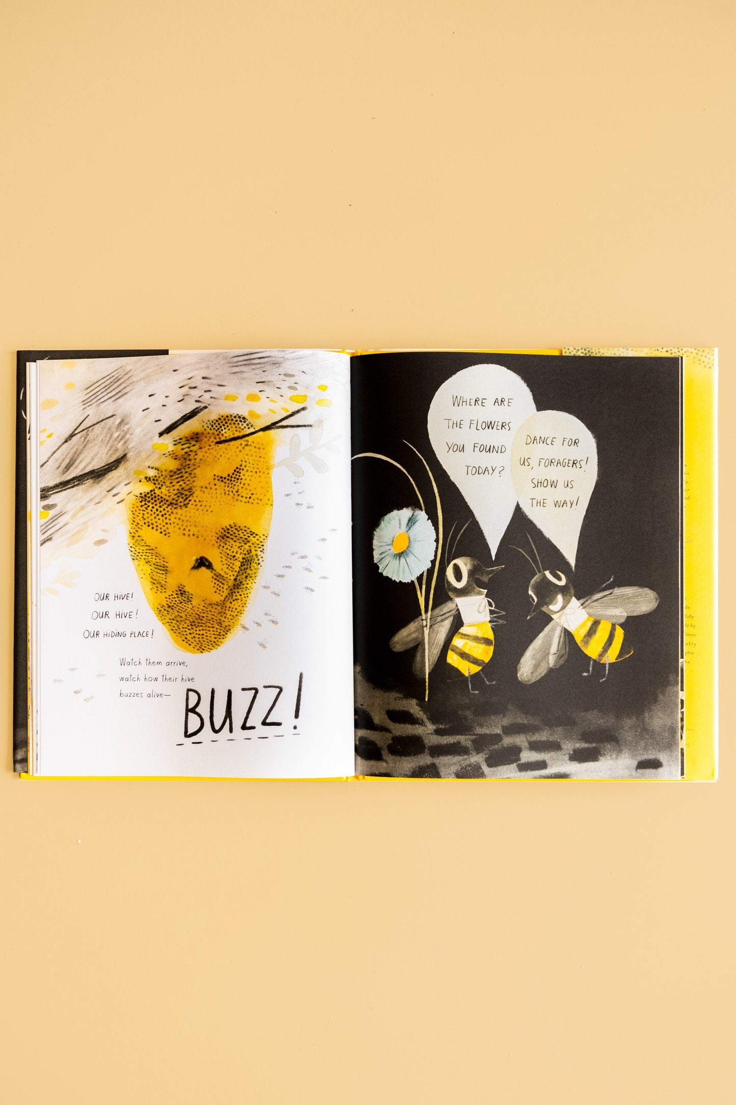 The Honeybee Book book Kiin Baby 