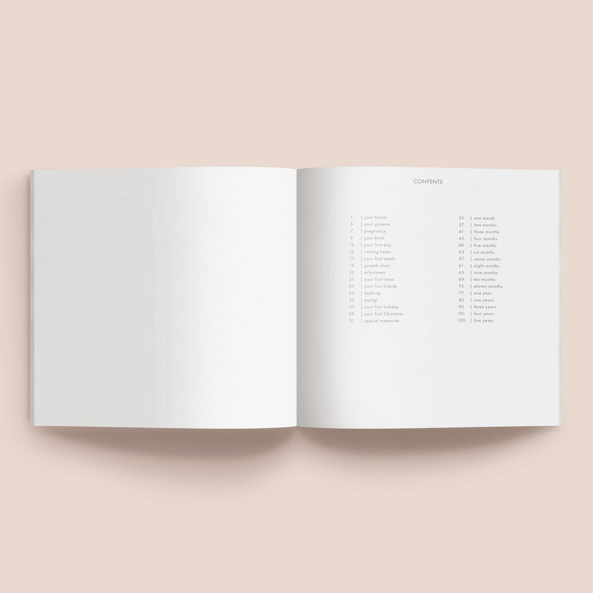 Your First Years | Baby Record Book journal Forget Me Not 