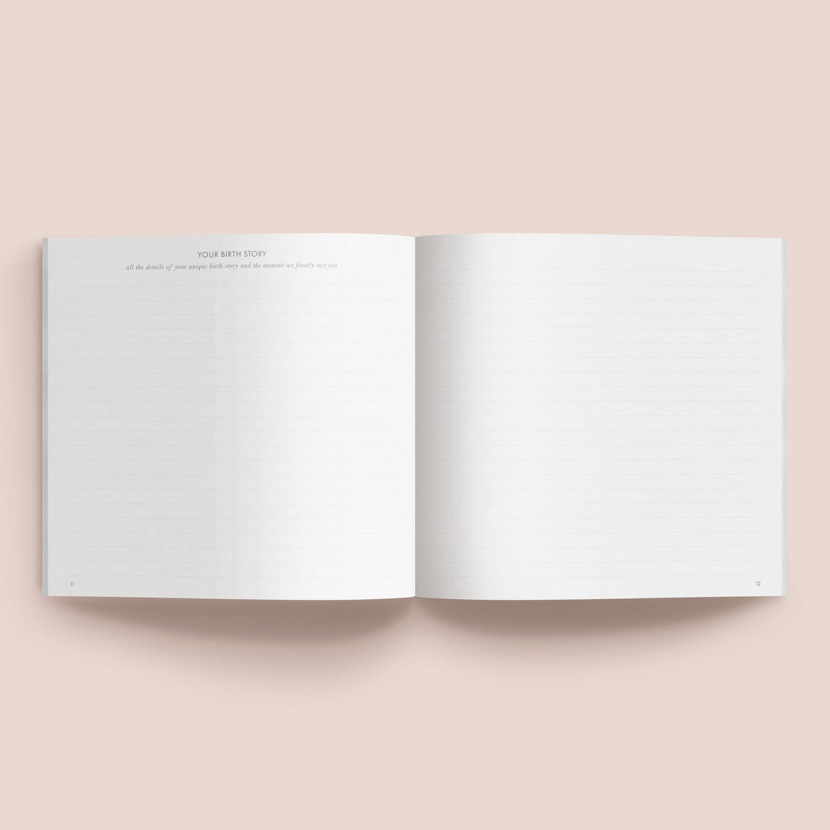 Your First Years | Baby Record Book journal Forget Me Not 