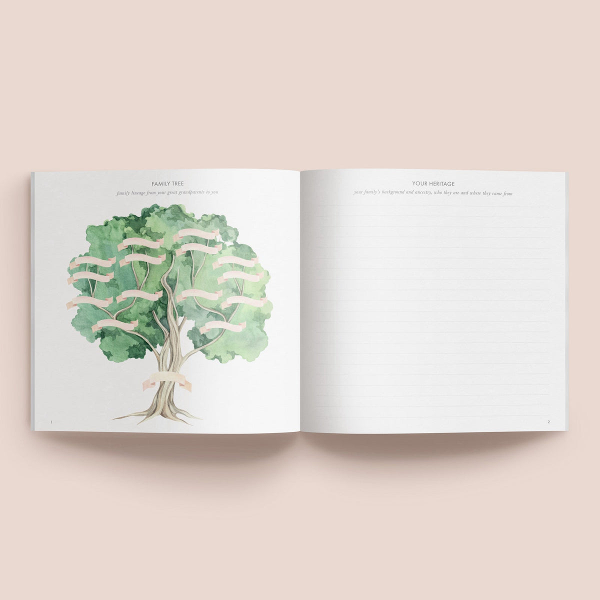 Your First Years | Baby Record Book journal Forget Me Not 