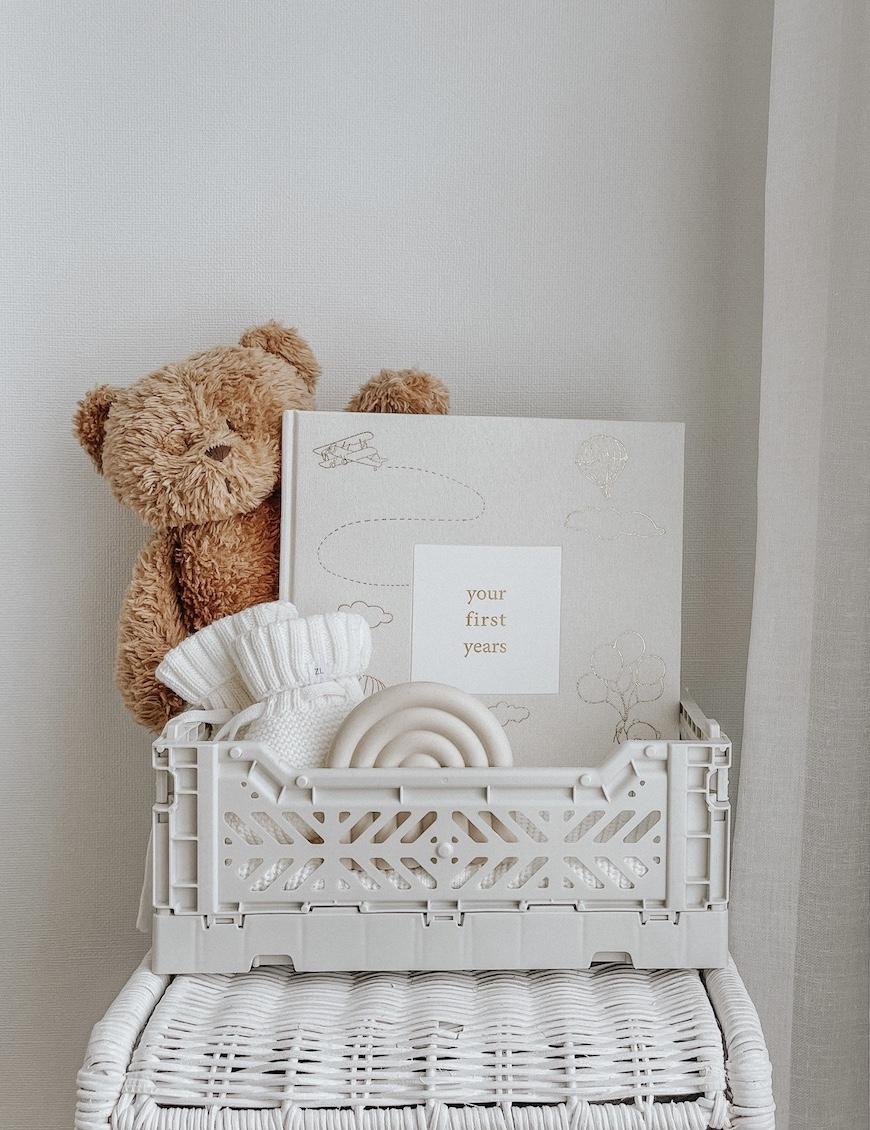 Your First Years | Baby Record Book journal Forget Me Not 